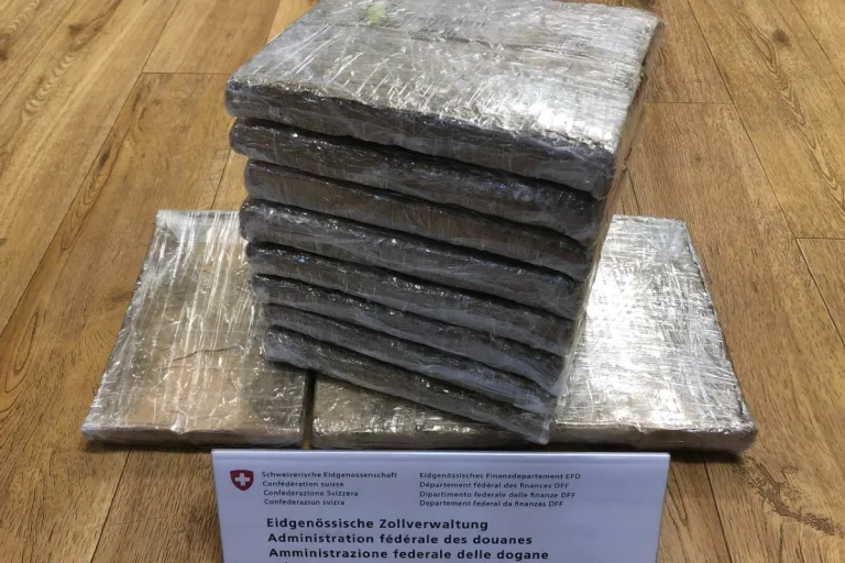 Flughafen Zürich - 37 Kilogramm Marihuana beschlagnahmt