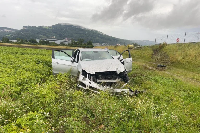 Niederbipp BE - Wildschutzzaun bei Unfall durchbrochen 
