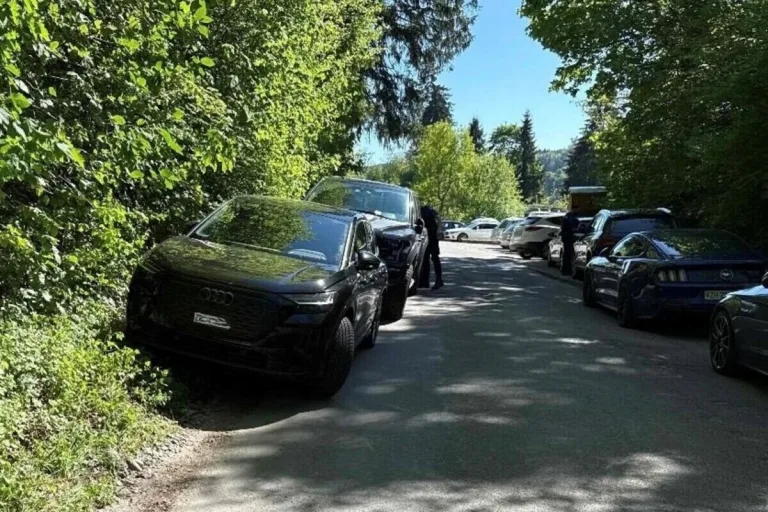Winterthur ZH – Polizei stellt mehrere Parkbussen aus
