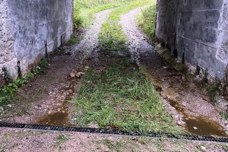 Necker SG - Regen spült Jauche weg