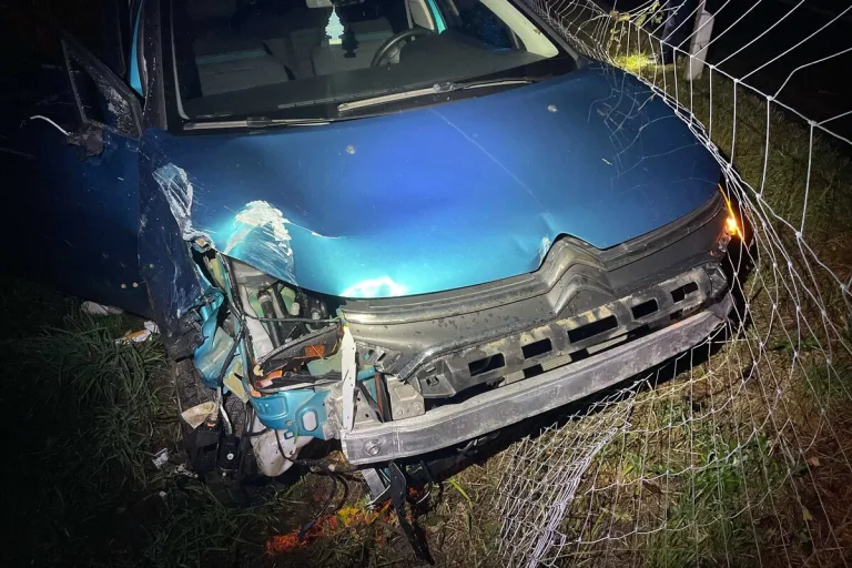 A1/Lenzburg AG - Alkoholisiert gegen einen Wildschutzzaun gefahren 