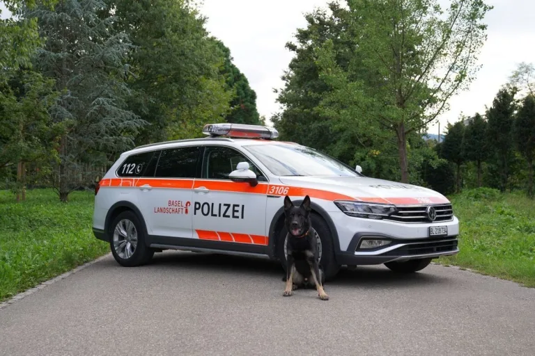 Aesch BL - Diensthund «Ares» hilft einen Einbrecher zu verhaften 
