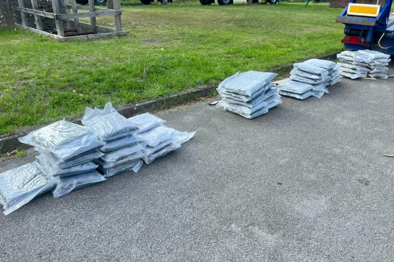 Düsseldorf NW – Zollhunde erschnüffeln 52 Kilogramm Drogen