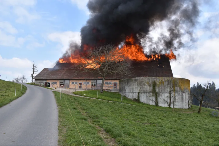 Ruswil LU - 90 Tiere vor den Flammen gerettet!