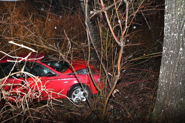 Altstätten SG - Fahrunfähig von der Fahrbahn abgekommen