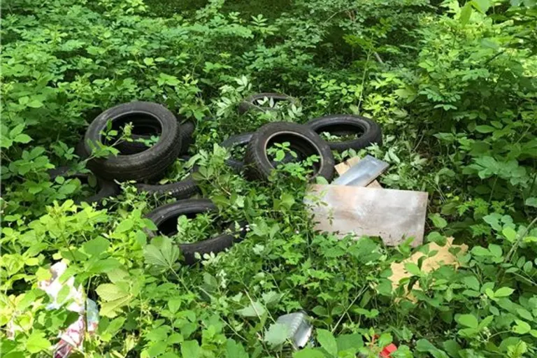 Kürrenberg - Illegale Müllablagerung in Kürrenberg