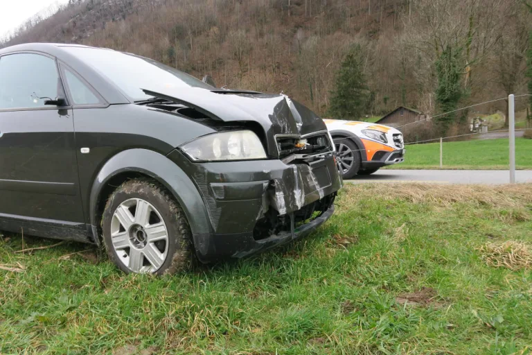 Bilten GL – Auto kommt von der Strasse ab, bricht durch Zaun und landet auf Wiese