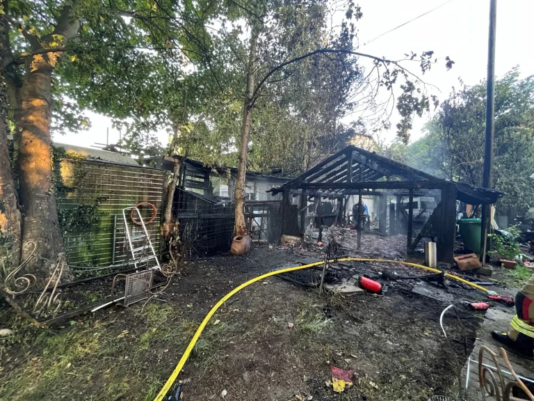 Aegerten BE – Gartenhaus brennt komplett nieder