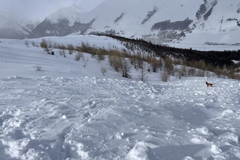 Zuoz GR – Suchaktion wegen verlorenem Ski auf Lawinenfeld