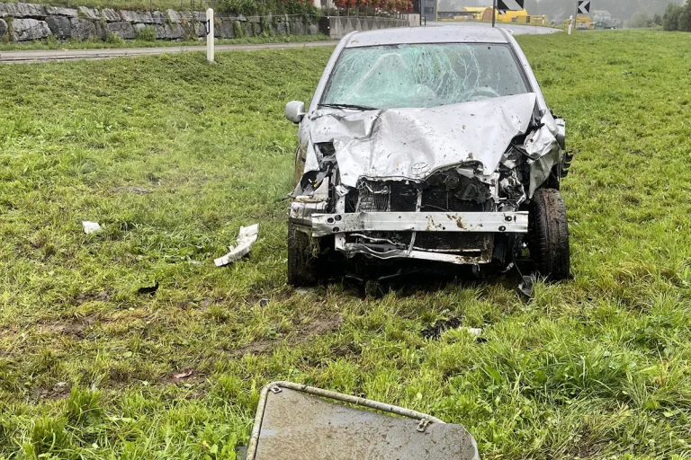 Schüpfheim LU - Auto fährt in Kuhherde - zwei Tiere tot 