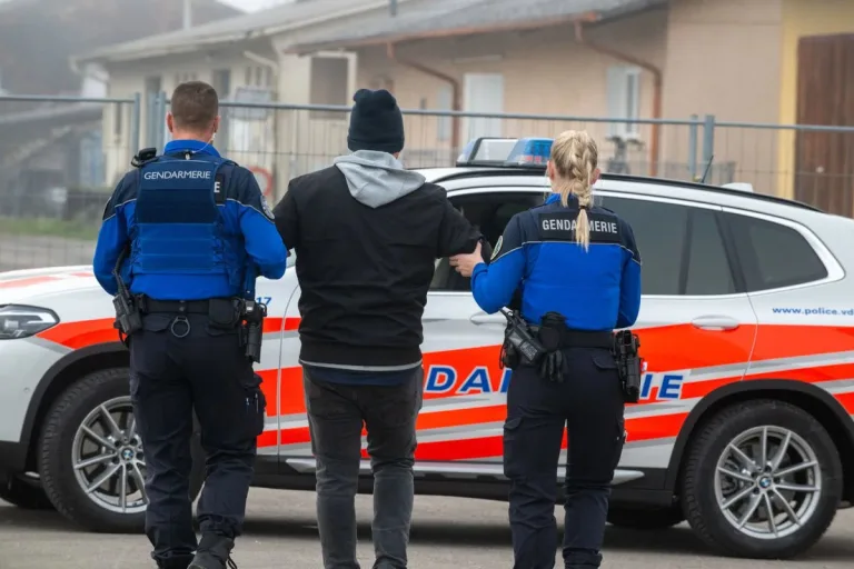 Romainmôtier VD – Einbrecher mithilfe von Polizeihund festgenommen