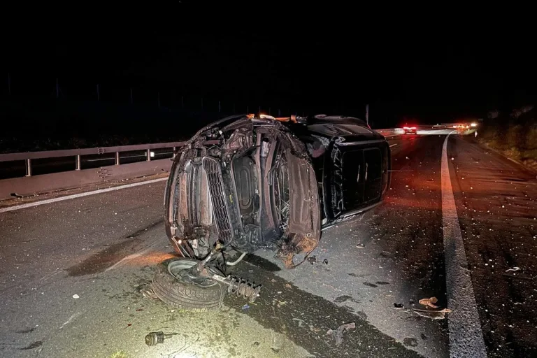 Châtel-St-Denis FR - Lenkerin bei einer Kollision mit einem Tier auf der Autobahn A12 verletzt