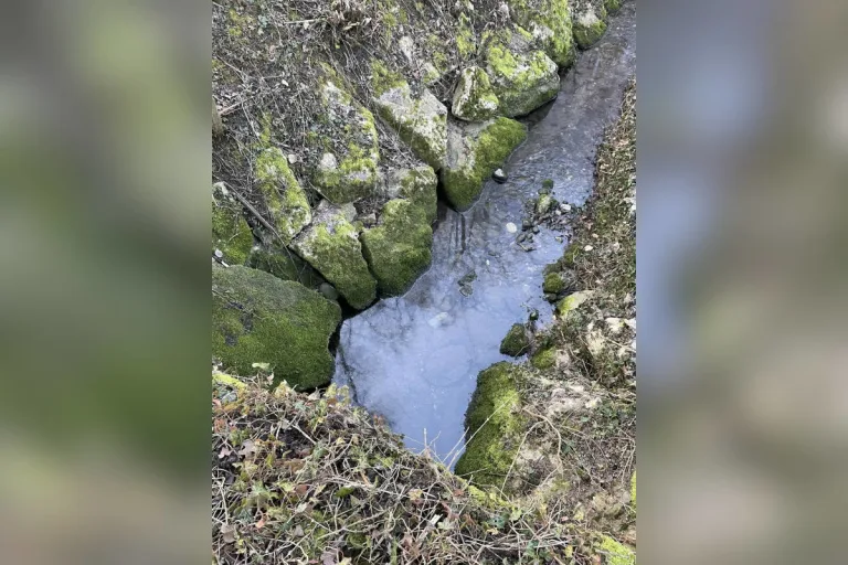 La Joux und Ried bei Kerzers FR – Zwei Wasserläufe verschmutzt