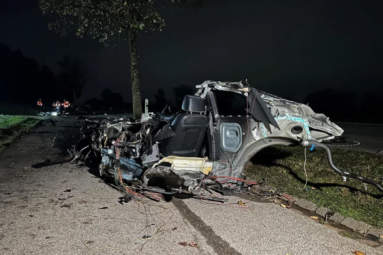 Winkel ZH – Autofahrer kollidiert mit Baum und stirbt