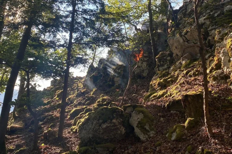 Kleiner Waldbrand in Balm bei Günsberg SO
