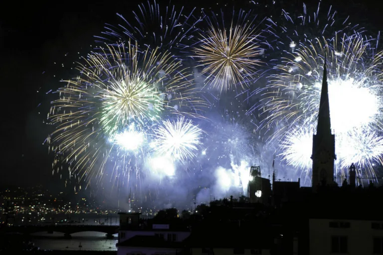 Kanton Zürich - Zahlreiche Einsätze in der Silvesternacht 