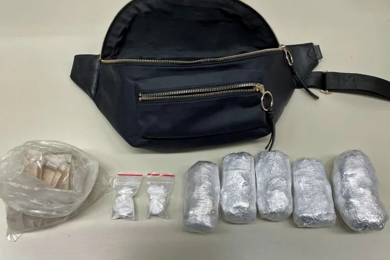 Emmenbrücke LU - Mutmasslicher Drogendealer festgenommen