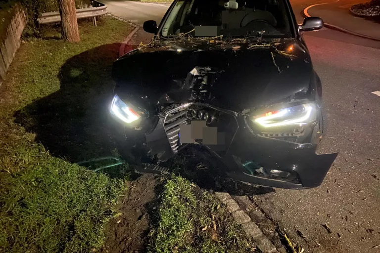 Frick/Döttingen AG – Betrunken mit Baum kollidiert