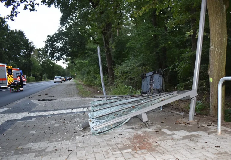 Gifhorn – Mini mit vier Frauen überschlägt sich