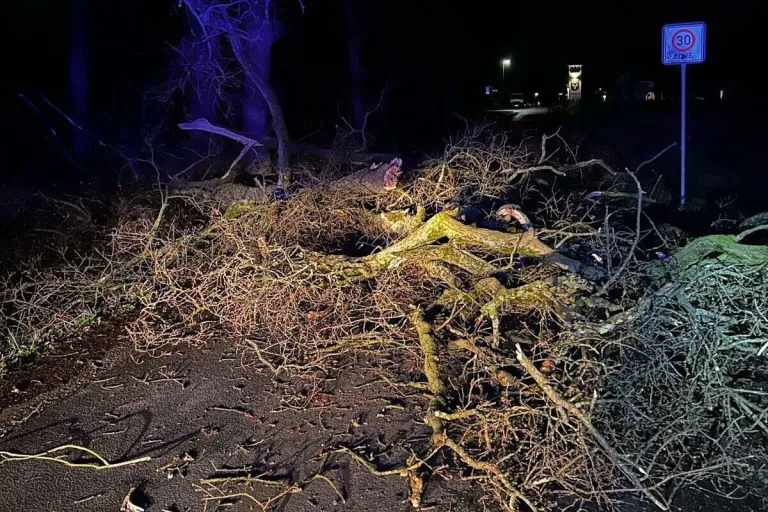 Sturm in Schermbeck NW - Baum auf die Fahrbahn gestürzt 