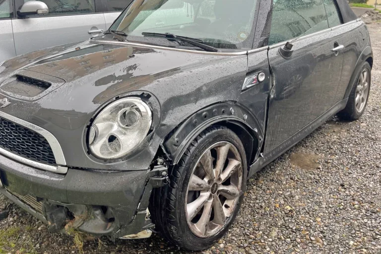 Roggwil TG – «Mini» aufgefunden, Lenkerin ermittelt