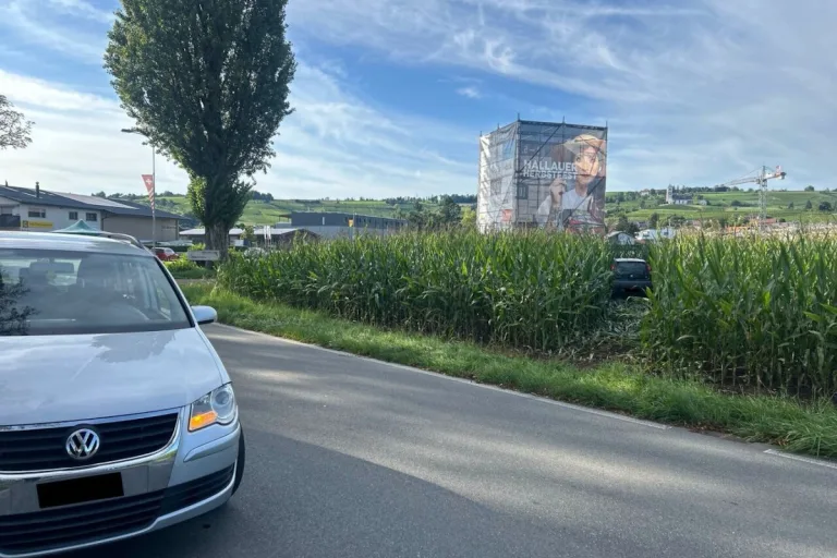 Hallau SH – Unfall endet in Maisfeld