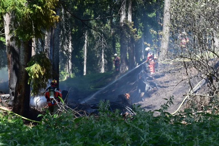 Lenzerheide GR – Feuerwehr verhindert Ausbreitung von Waldbrand
