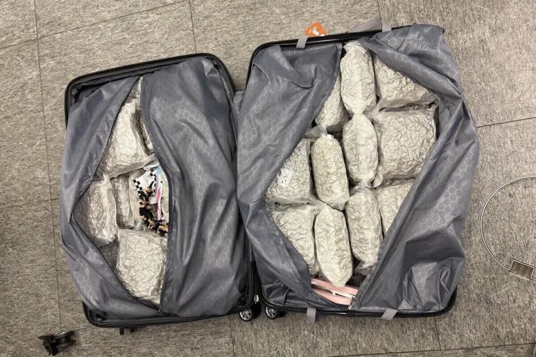 Flughafen Zürich – Polizei stellt 750 Kilogramm Betäubungsmittel sicher