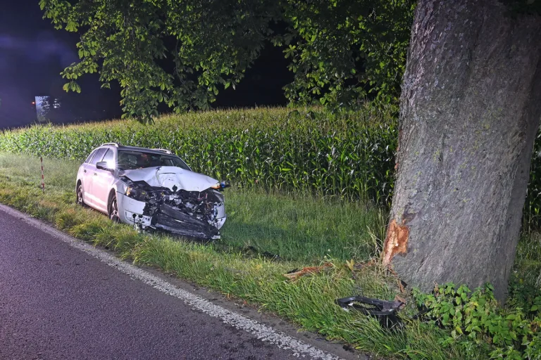 Kanton Luzern - Zwei Autos auf Gleisen - Mit Baum kollidiert