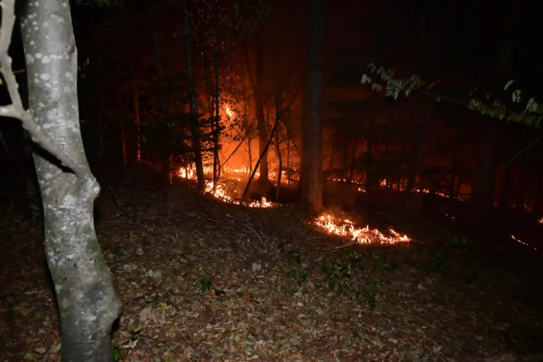 Ermenswil SG – Waldbrand im Eggwald