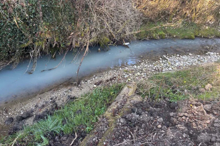 Mühlrüti SG – Mühlrütibach durch Milch verschmutzt