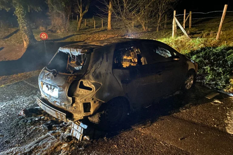 Ziefen BL – Fahrzeugbrand erfordert Feuerwehreinsatz
