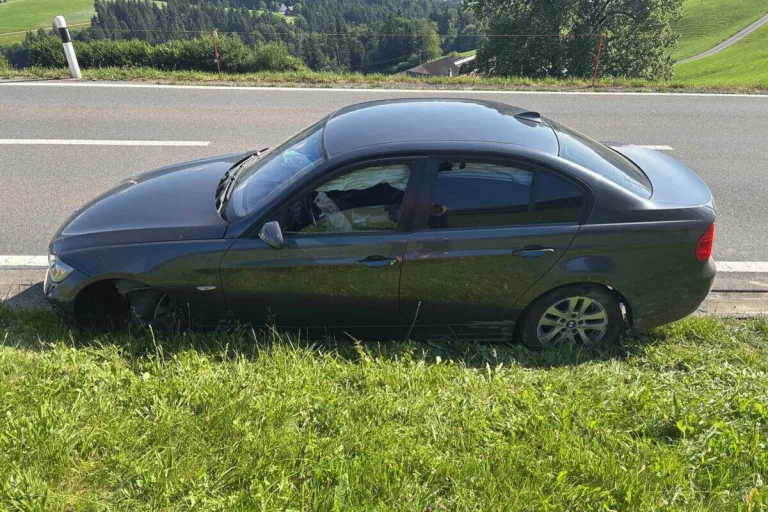Wattwil SG – Alkohol am Steuer - Selbstunfall mit 10'000 Franken Schaden