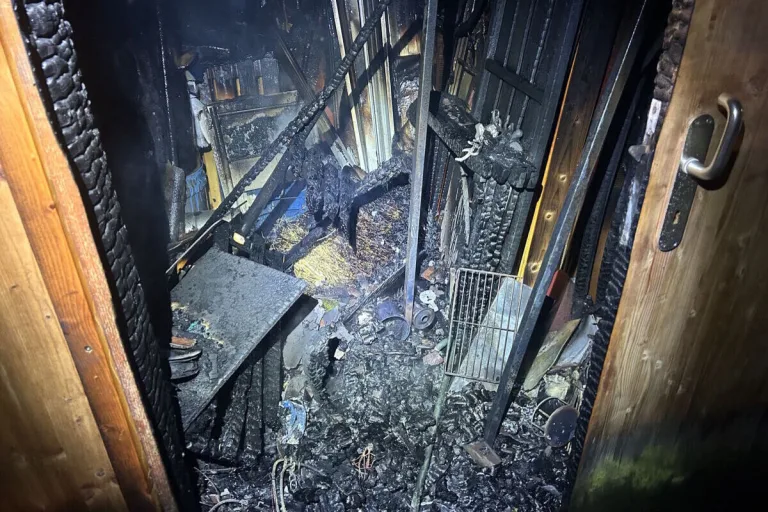 Ebnat-Kappel SG - Brandausbruch in einem Schopf 