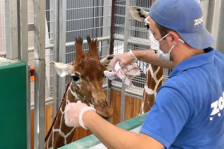 Zürich - Zootiergerüche für Spürhunde