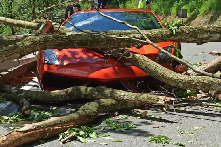 Stubenbergklamm - Baum stürzt auf Lamborghini