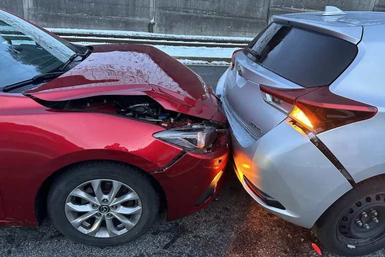 Unfall in Gais AR - Aufgrund eines herrenlosen Hundes gebremst 