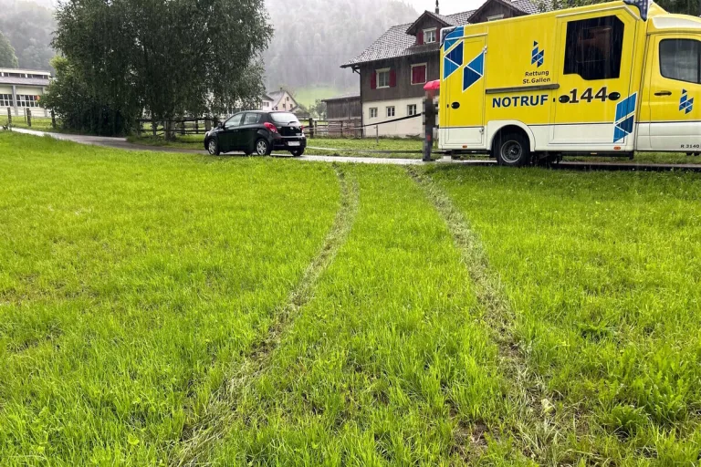 Oberrindal SG - Mit dem Zaun einer Pferdekoppel kollidiert