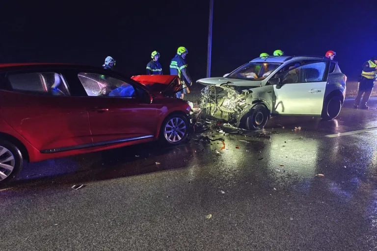 Maria Ellend NÖ – Alkoholisierte Lenkerin verursacht Unfall
