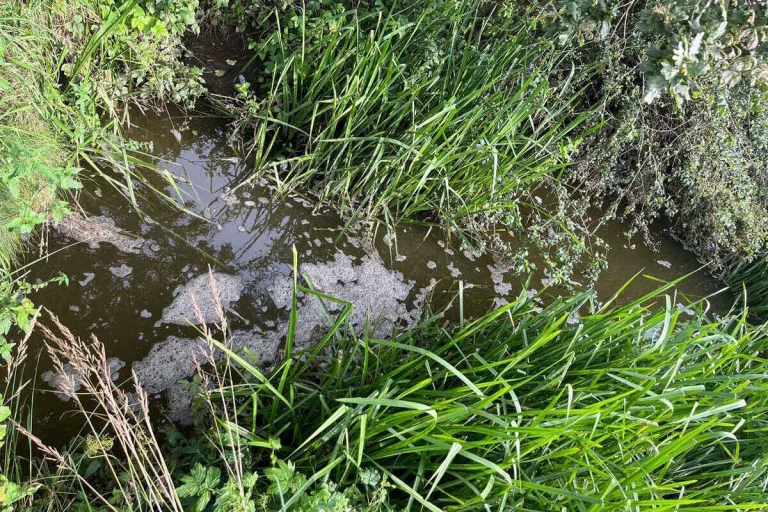 Niederhelfenschwil SG - Jauche im Zechenwisenkanal
