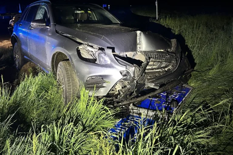 Rottenschwil AG - Bei Unfall frontal mit Verkehrsschild kollidiert