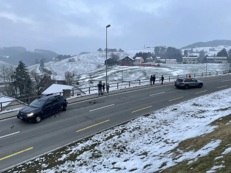 Heiden AR: Am Steuer eingenickt und in den Gegenverkehr geprallt