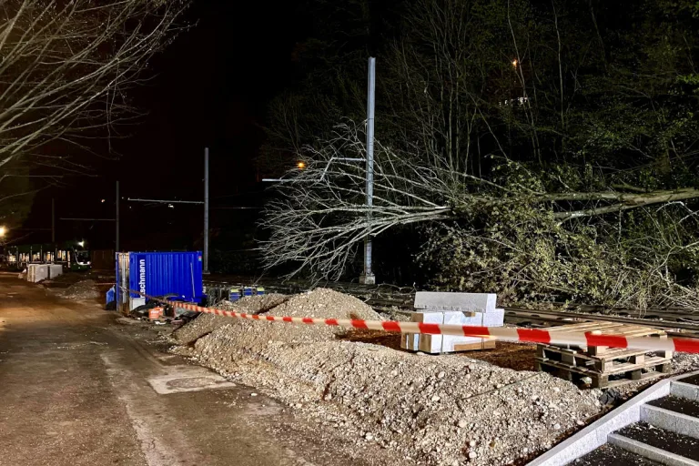 Basel Wolfsschlucht – Baum stürzt auf Tram-Fahrleitung