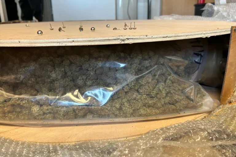 Stralsund – Über 86 Kilogramm Marihuana in Paketsendungen