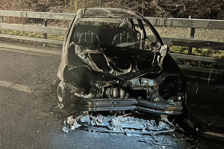 Unfälle in Root/Luthern LU - Auto ausgebrannt - Mit Baum kollidiert