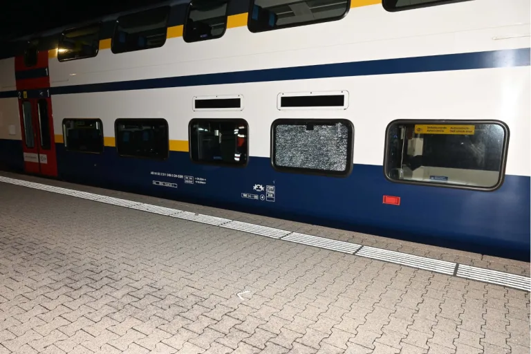 Steinhausen ZG – Mehrere Bahnwaggons beschädigt – betrunkener Mann verhaftet