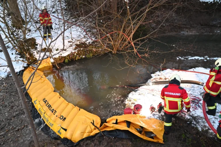  Mühlrüti SG - Rund 1000 Fische wegen Gülle verendet