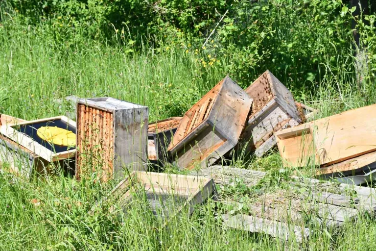 Langenfeld - Honigwabenkisten gestohlen!