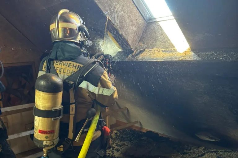 Birsfelden BL – Brand in Wohnung in Dachstock