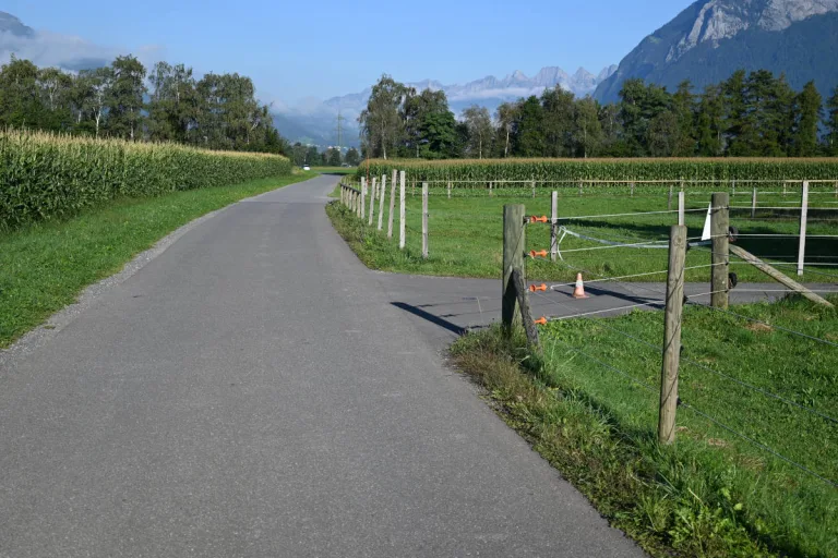 Bad Ragaz SG – Bei Selbstunfall mit E-Bike verletzt